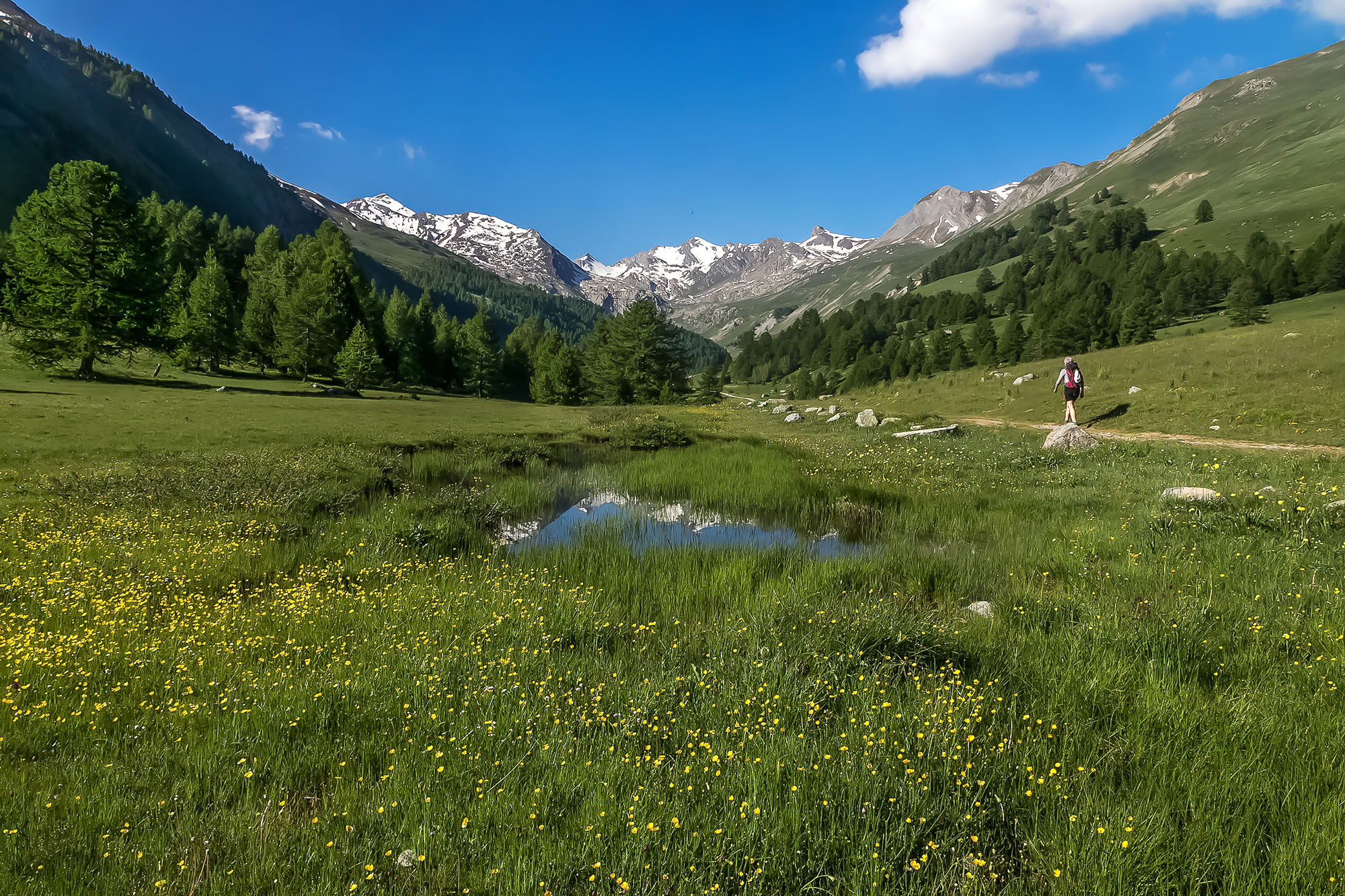 parc national du mercantour