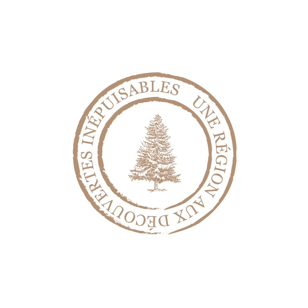 macaron région aux decouvertes inepuisables marron