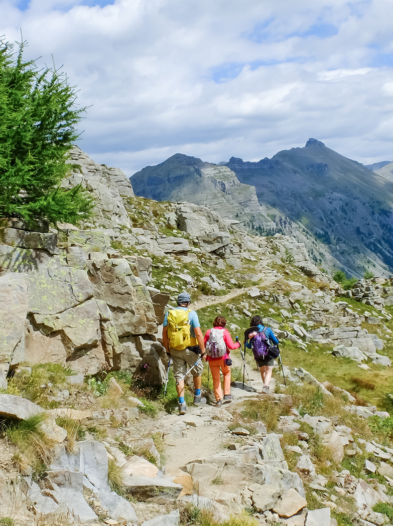 plusieurs excursions peuvent etre regroupees