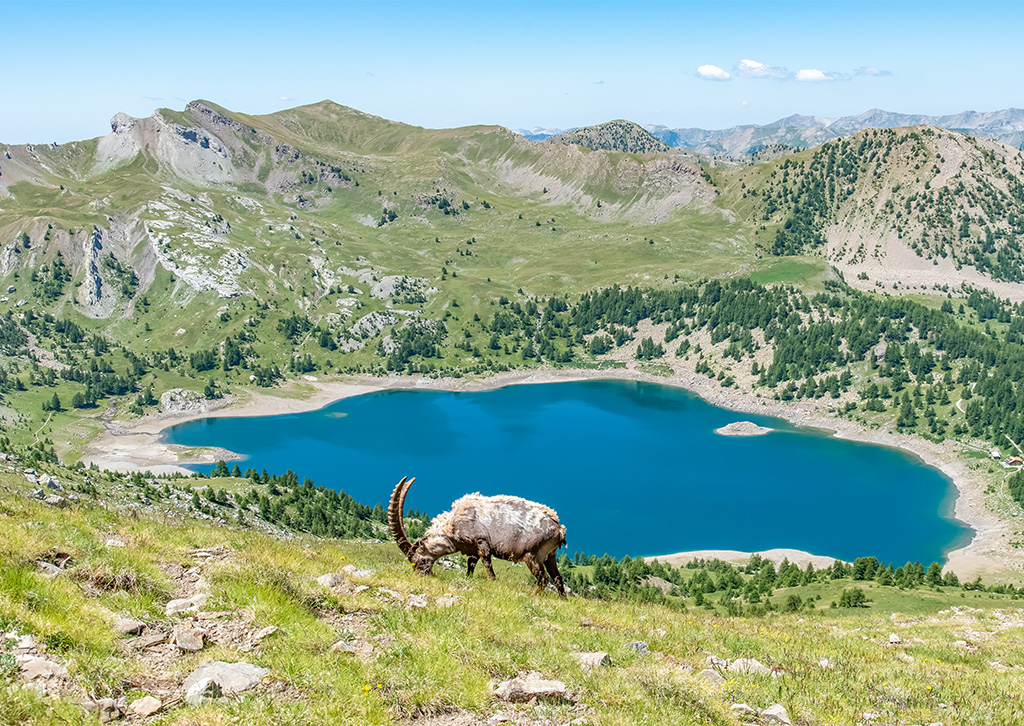 promenade autour du lac d allos